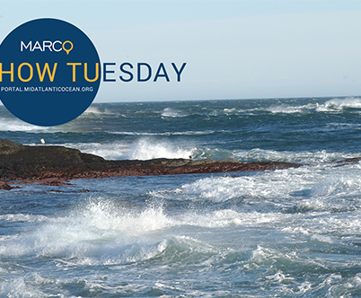 June 2024 How Tuesday: Intro to the Portal