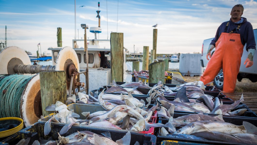 commercial fishing dock