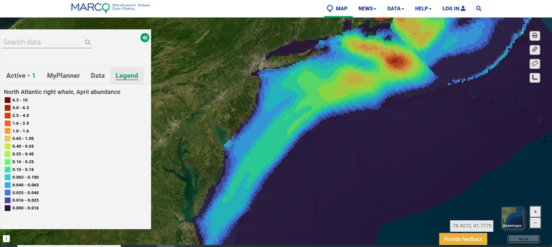 A map showing North Atlantic right whale April abundance.