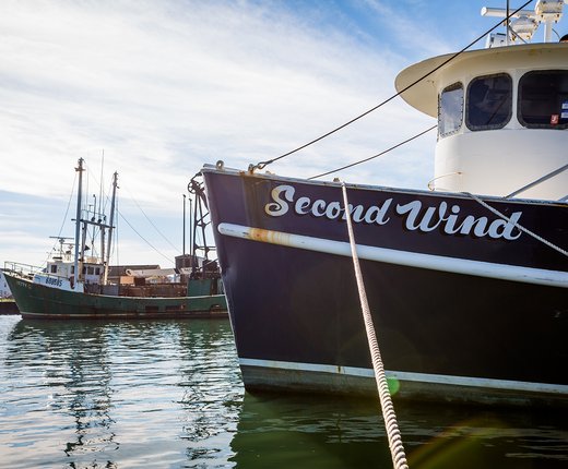 New Maps of Commercial Fishing Vessel Activity Between 2015-2019