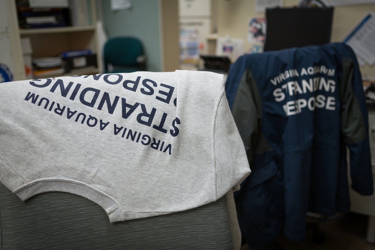 RS26201_JHOUS-VirginiaBeachAquarium_01