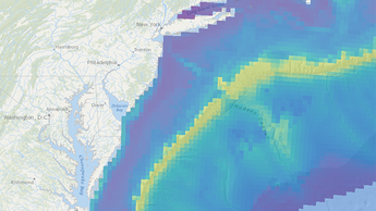 all cetaceans abundance 4-22