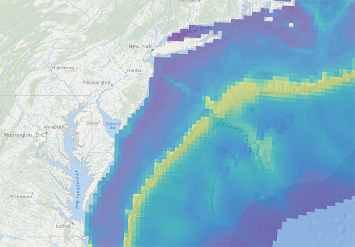 all cetaceans abundance 4-22