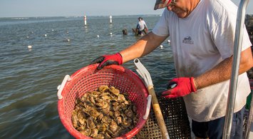 Explore Aquaculture Areas in Mid-Atlantic Waters
