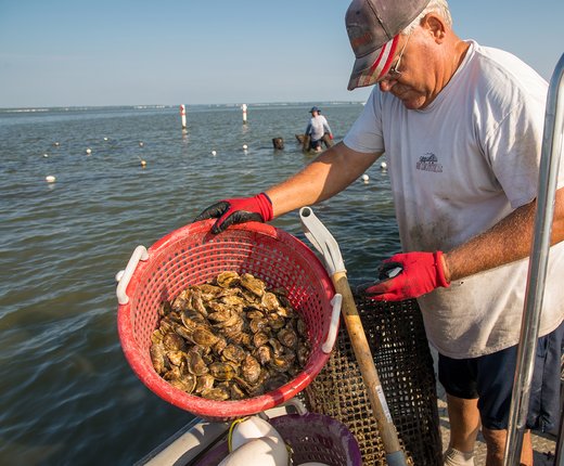 Explore Aquaculture Areas in Mid-Atlantic Waters
