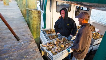 dock workers