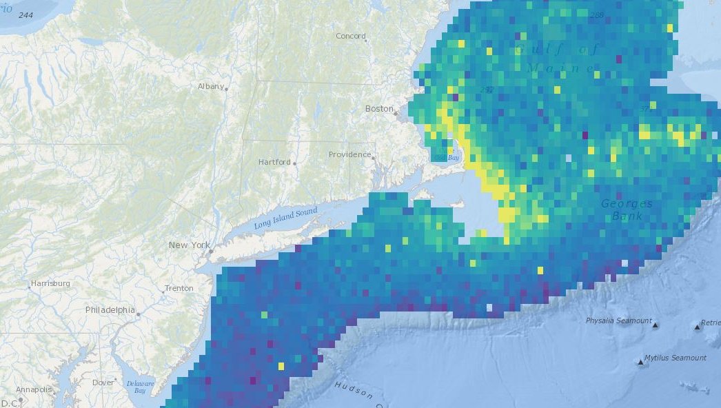 marine life fish map