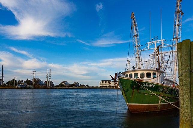 Fishing (NEW: By Fishery)