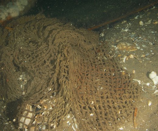 Map Collection Models Fishing Effects to Sea Bottom