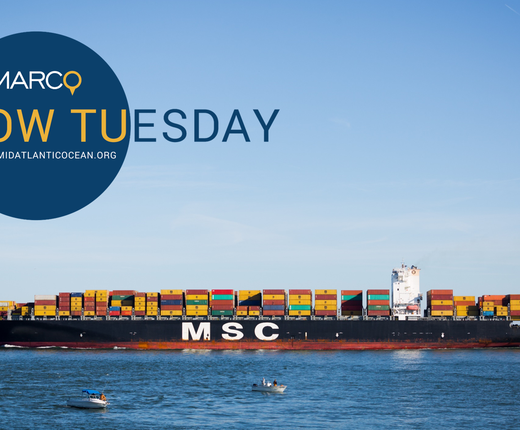 Watch: Intro to the Portal Webinar