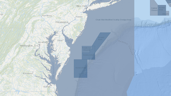 scallop management areas