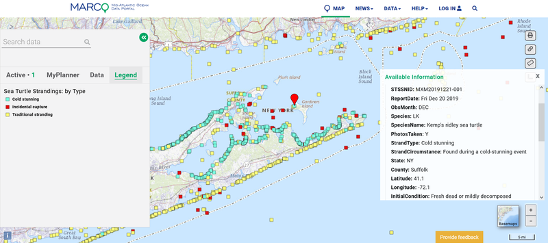 A map showing points where sea turtle strandings were reported and classified as cold stunning, incidental capture, or traditional stranding types.