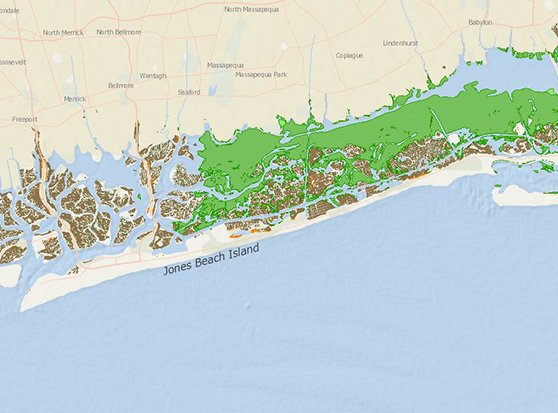wetlands and seagrasses