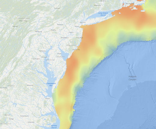 Zooplankton Products from NOAA Fisheries EcoMon Surveys